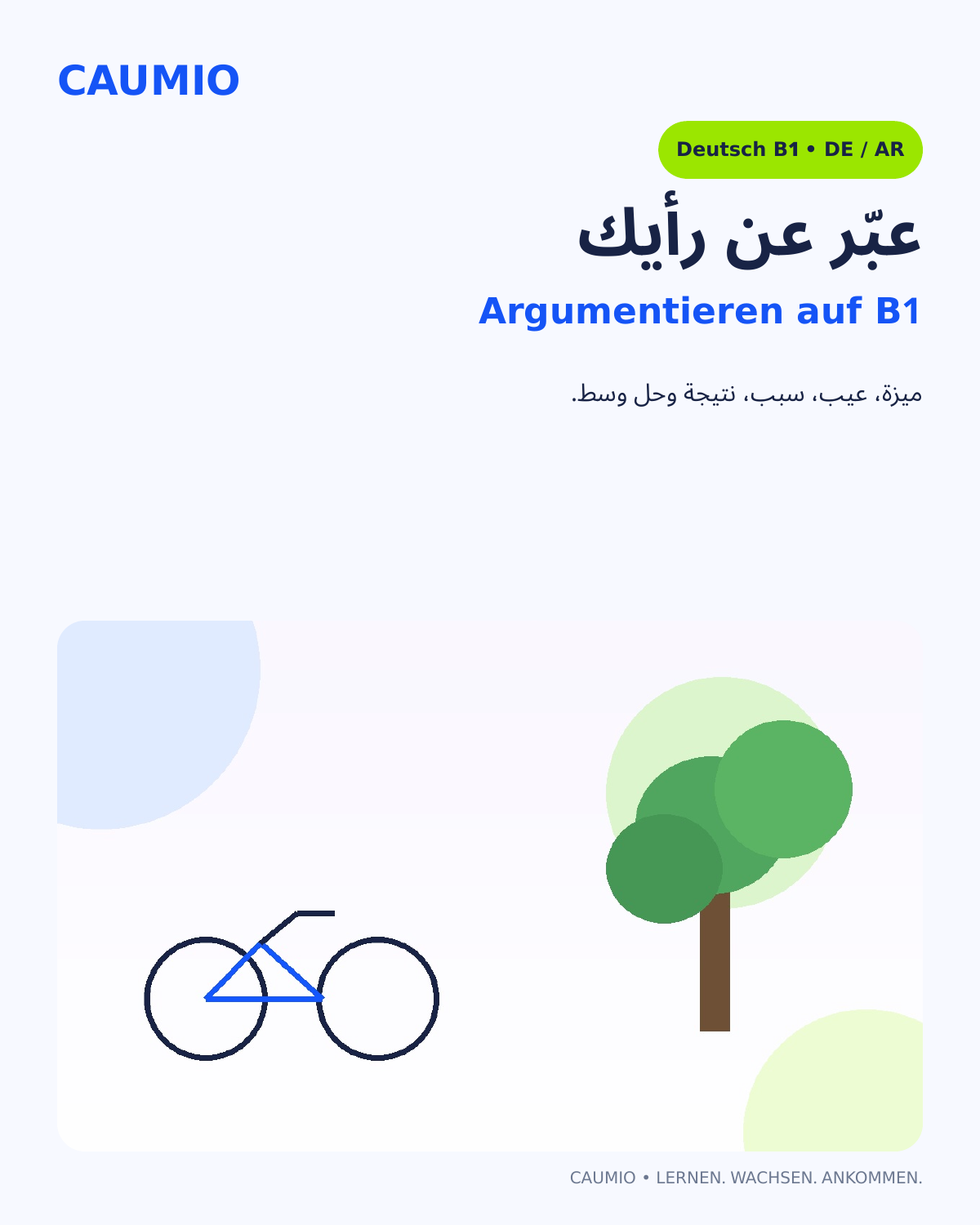 CAUMIO German B1 with Arabic explanations — Opinion